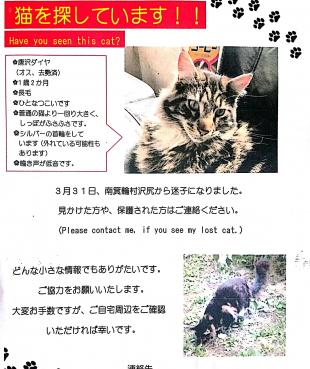 ダイヤ