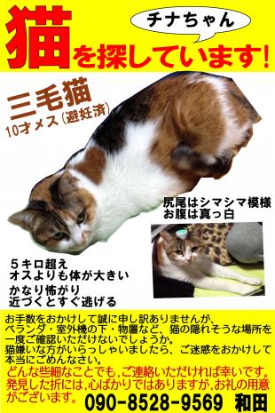 チナちゃん