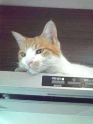 はんじろう