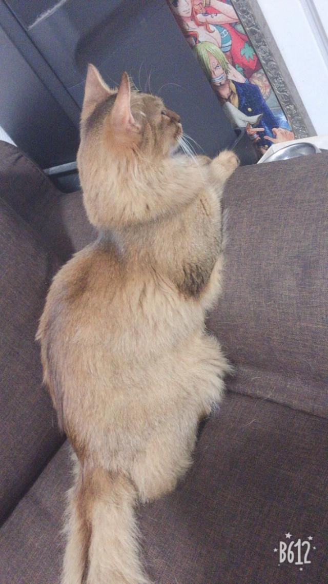 ソラ
