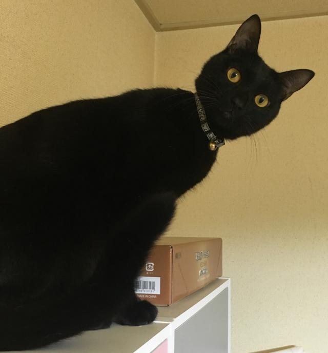 れお