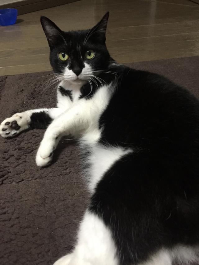 びえん