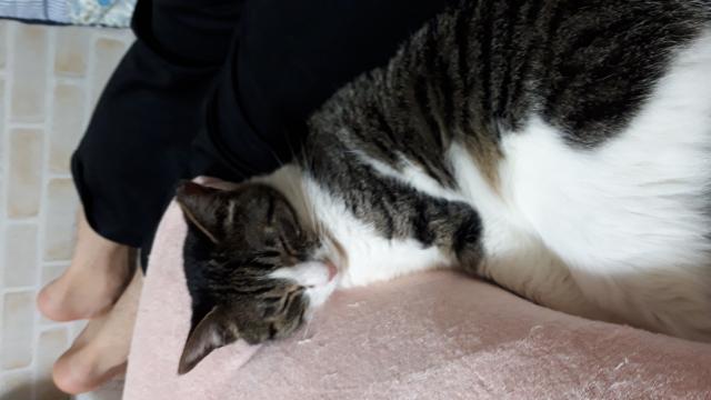 なぎ