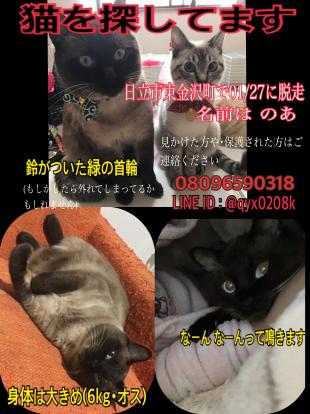 のあ