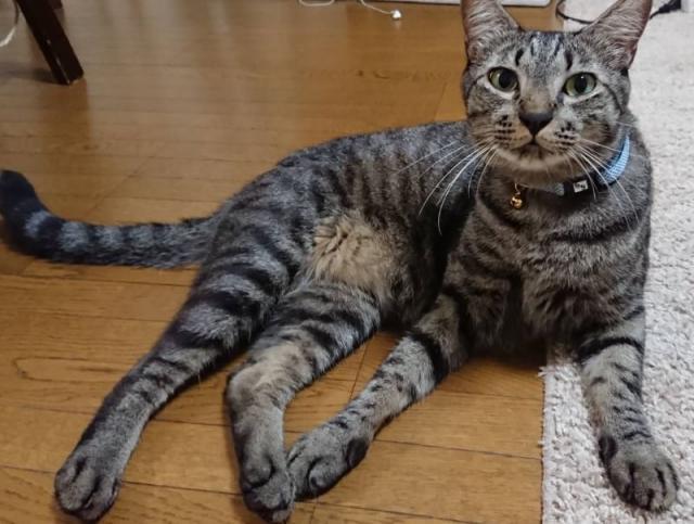 ララ