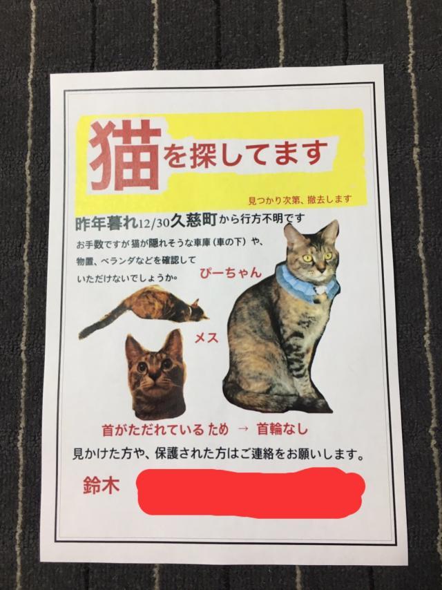 ピーちゃん