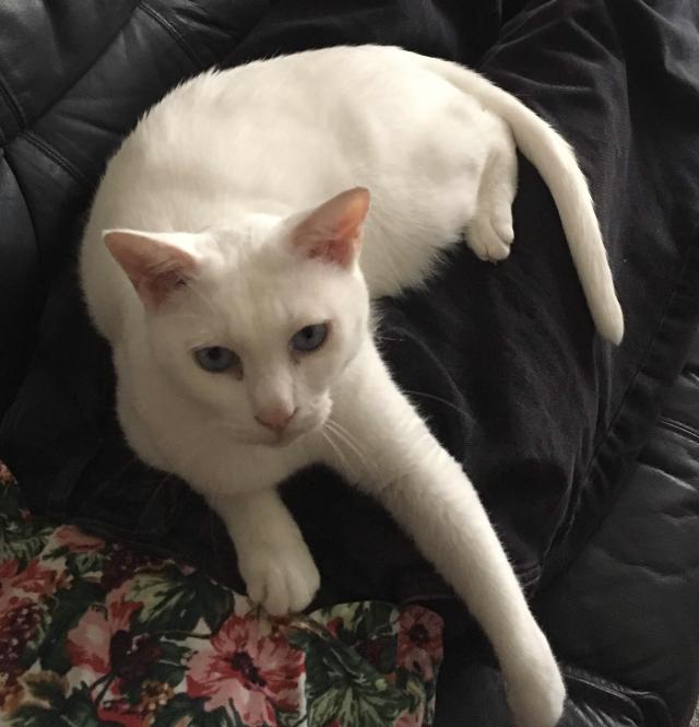れお