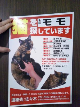 モモ