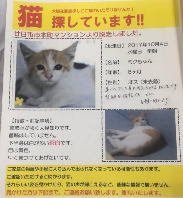 ミクちゃん