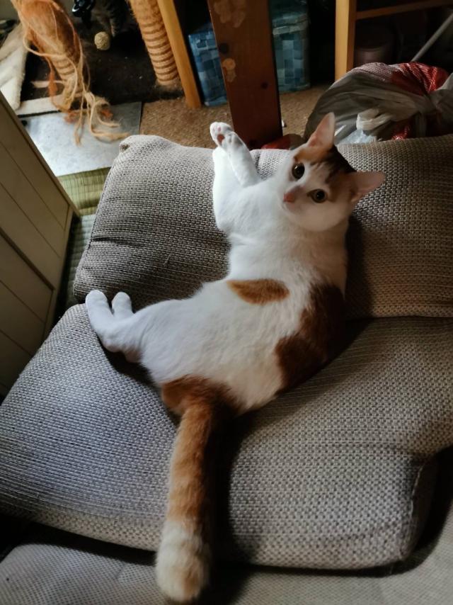むぎ