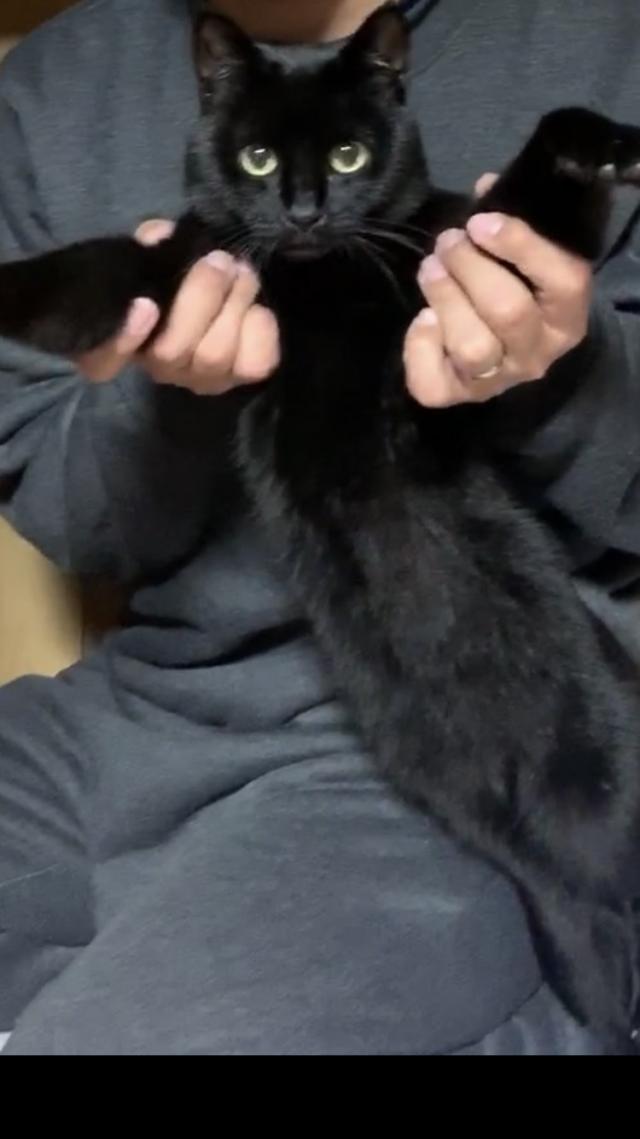 クロ