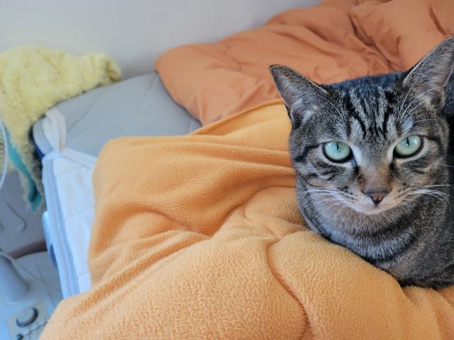 ベン