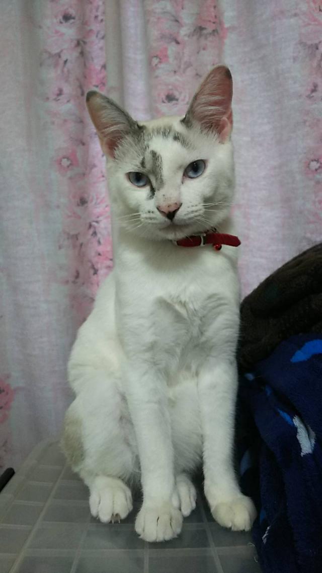 らいと