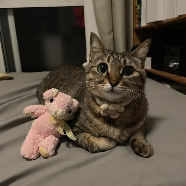 ウナ