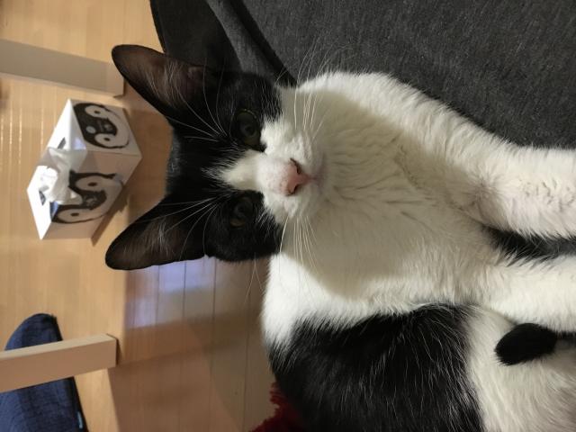 マル