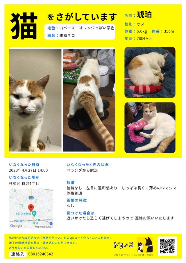 琥珀