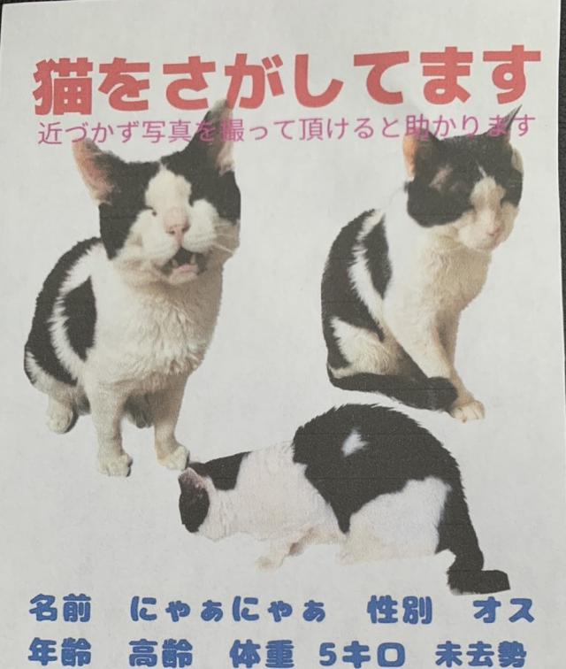 にゃぁにゃぁ