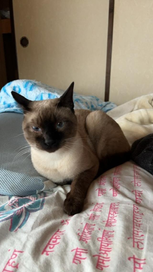 ジャム