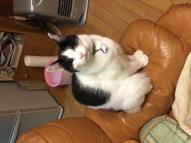 プール