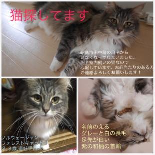 のえる