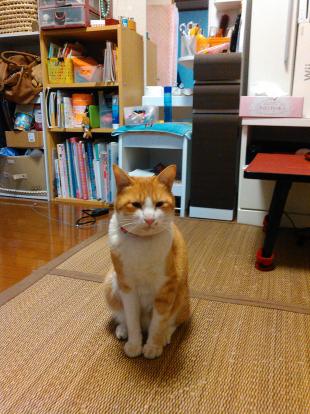 ついたち