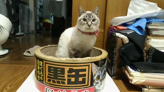ジータ