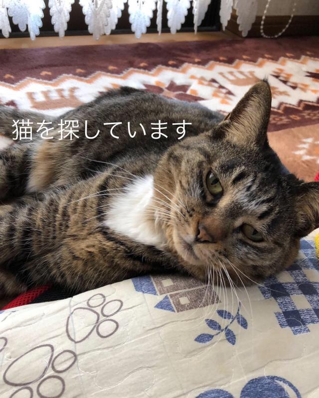 みー