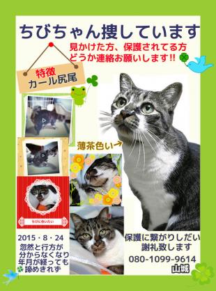 ちび