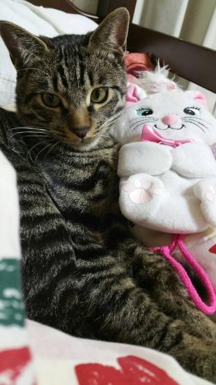 おとちゃん