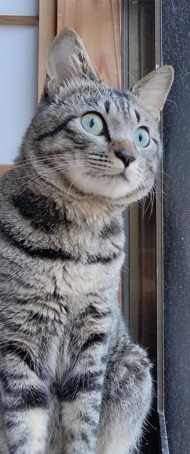 くーちゃん