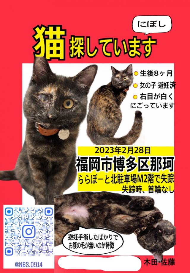 にぼし
