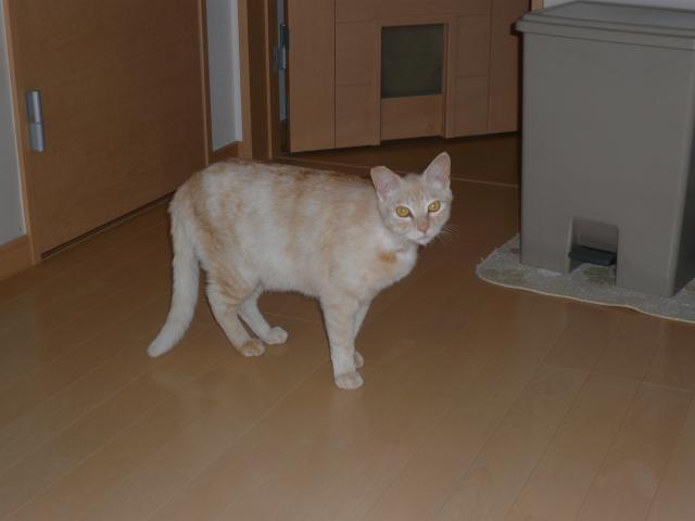 まあーくん