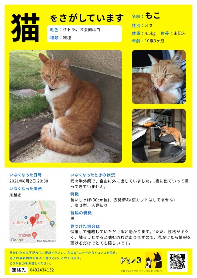 もこ