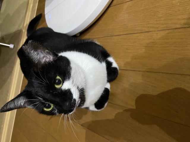 みーちゃん
