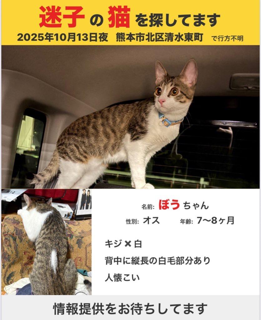 ぼう
