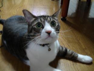きら