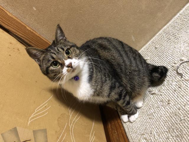 まる