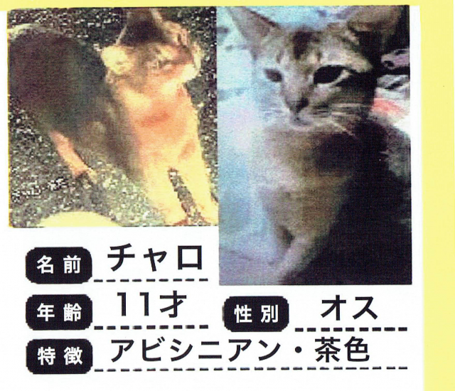 チャロ