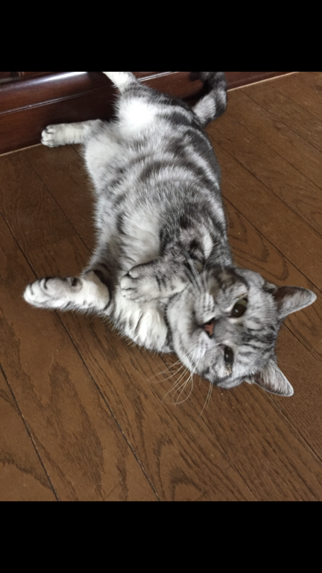 ラルフ