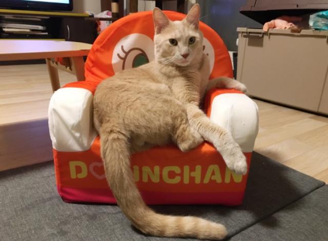 こたろう