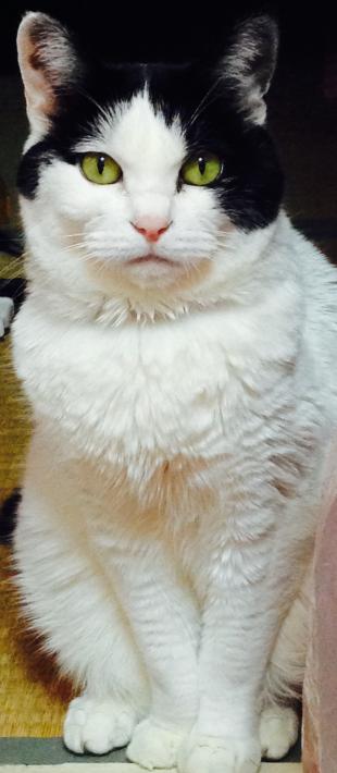 ナオ