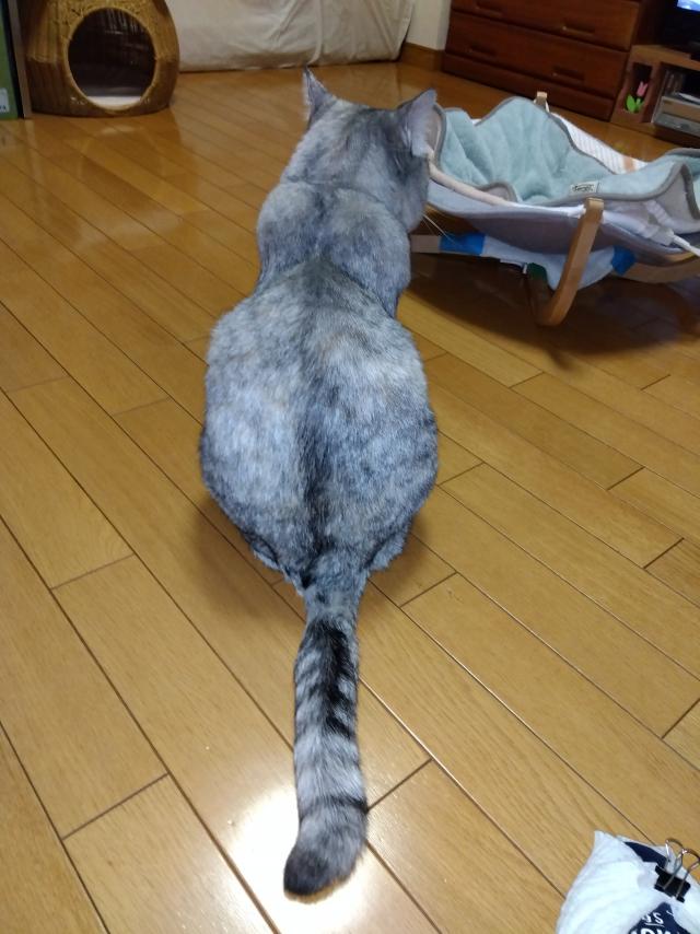 なつ