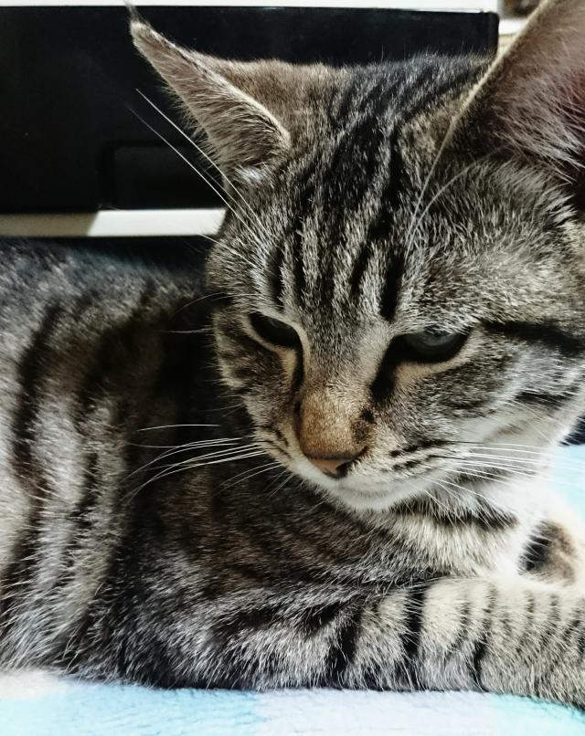 ソラ