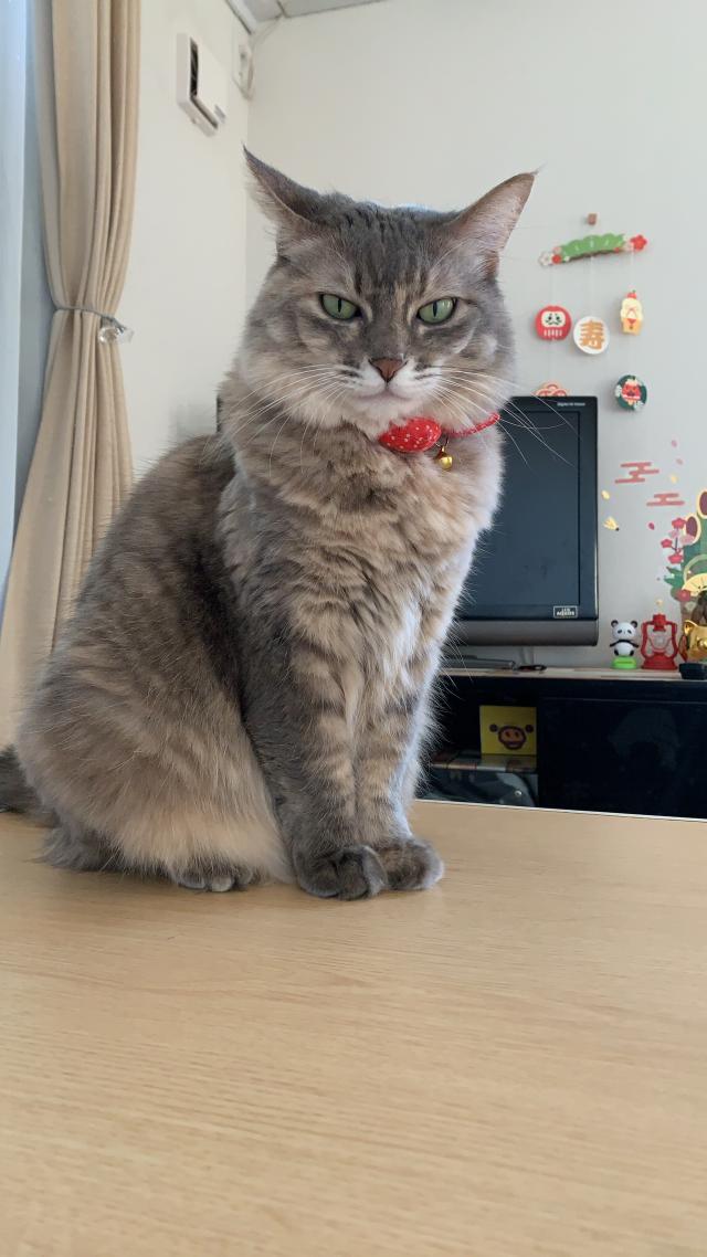 ベル