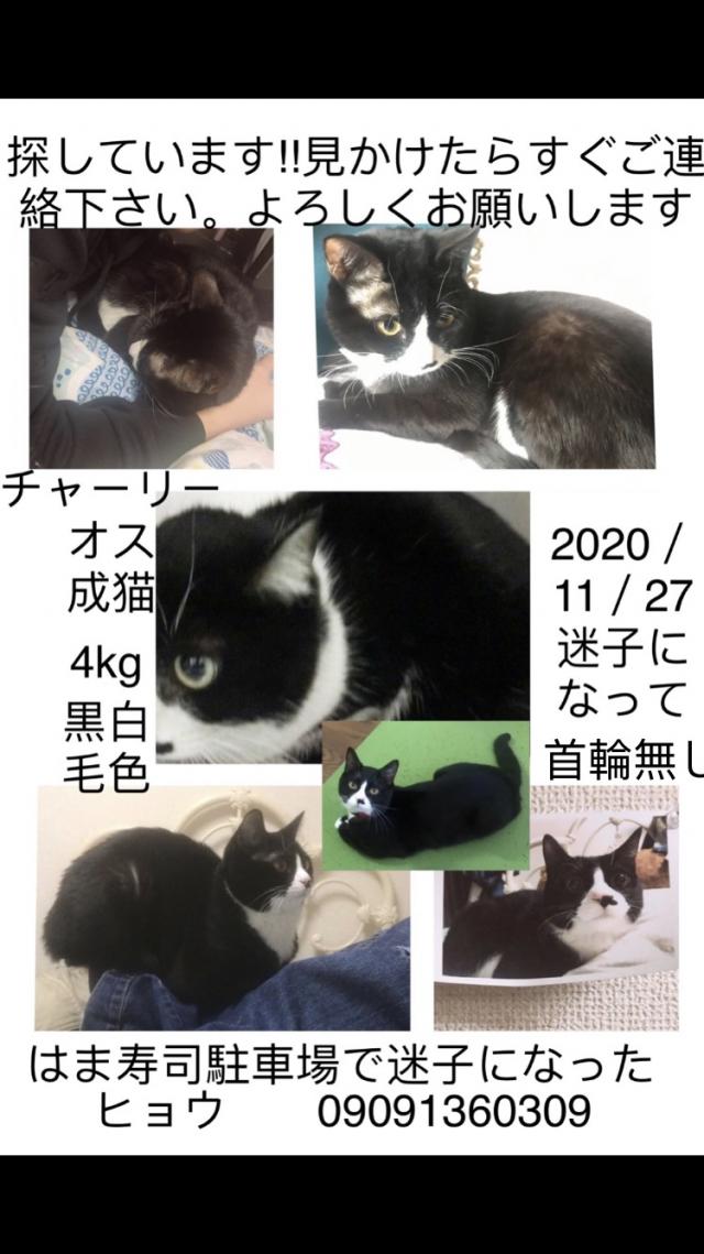 チャーリー