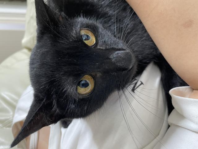 ひろ