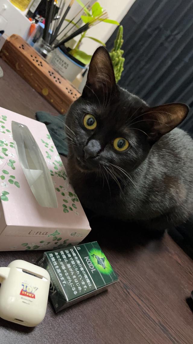 シヴァ