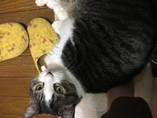 るい君
