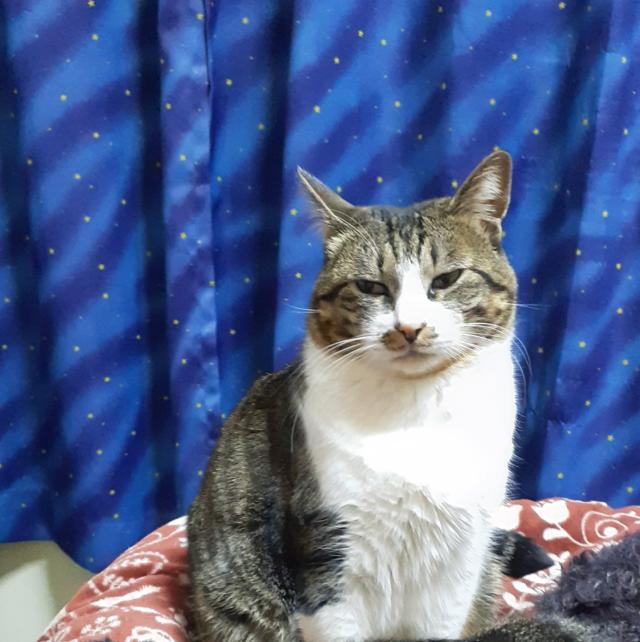 ホーム