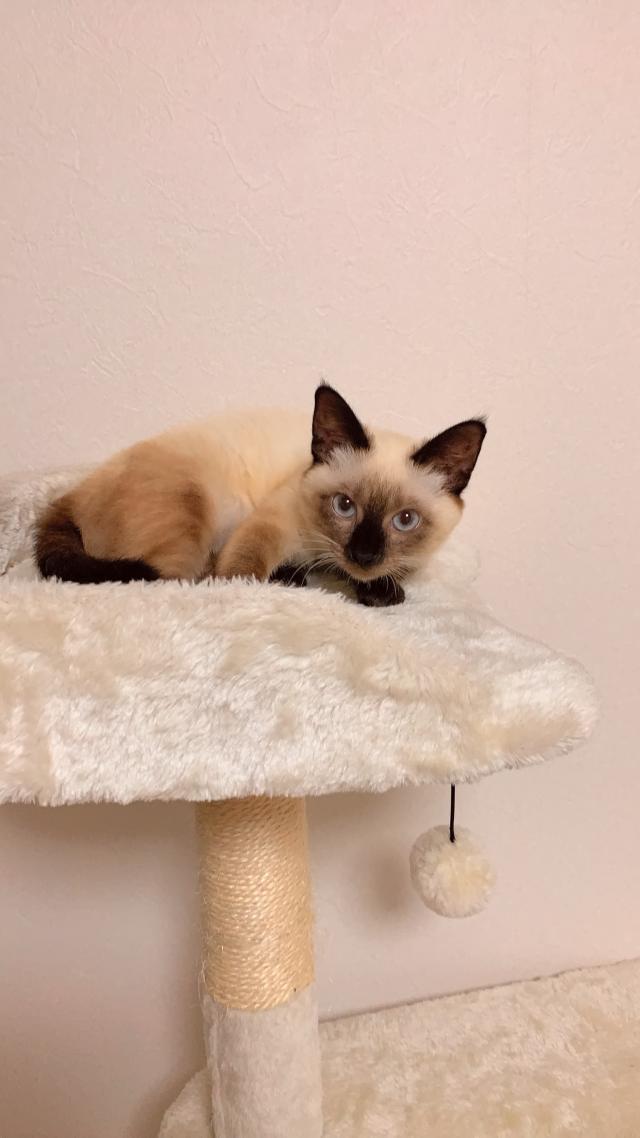みいちゃん